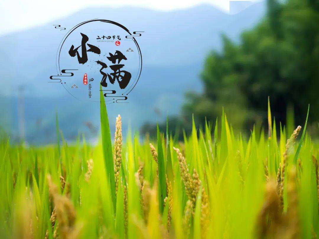 上?？婆d儀器